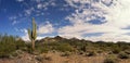 Desert cactus and mountains landscape