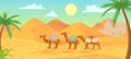 Desert camel. Caravan in egypt sahara landscapes. Cartoon arabic panoramic vector background with sand dunes and camels Royalty Free Stock Photo