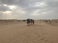 Camel Ride Desert UAE Royalty Free Stock Photo