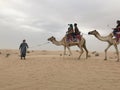 Camel Ride Desert UAE Royalty Free Stock Photo