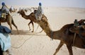 Desert camel riding. Tunisia Royalty Free Stock Photo
