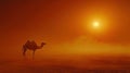 Desert Camel Silhouette at Sunrise Royalty Free Stock Photo