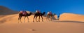 Desert Camel Train