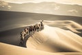 Desert camels team Royalty Free Stock Photo