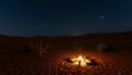 Desert Campfire at Night with Sparse Vegetation Generative AI Royalty Free Stock Photo