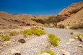 Desert canyon global warming climate changes nature dry ground landscape wilderness scenic view sand stone rocky hills and lonely Royalty Free Stock Photo