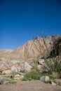 Desert Canyon and Mountains