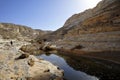 Desert Canyon in spring. Royalty Free Stock Photo