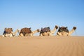 Desert caravan. Shot of a caravan of camels in the desert.