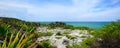 Desert caribbean beach panorama