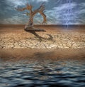 Desert Deluge Royalty Free Stock Photo