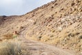 Desert dirt road ascending rocky hillside Royalty Free Stock Photo