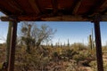 Desert Discovery Nature Trail in Saguaro National Park