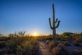 Desert Discovery Nature Trail sunset near Tuscon Arizona