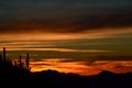 Desert Dreamtime, Saguaro Sentinels, Saguaro National Park, Sonoran Desert Royalty Free Stock Photo