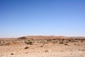 Desert dry landscape with small bushes under blue sky