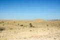 Desert dry landscape with small bushes under blue sky