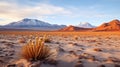 This desert is so dry that some parts of it haven\'t seen a single drop of rain. Generative AI
