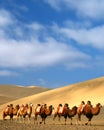 Desert, Dun Huang, China Royalty Free Stock Photo