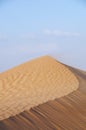 Desert dune Royalty Free Stock Photo