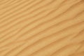 Desert dune detail Royalty Free Stock Photo