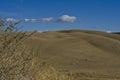 The desert dune in the great basin Royalty Free Stock Photo
