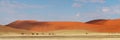 Desert dune panorama, Namibia Royalty Free Stock Photo