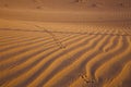 Desert dune with trace of jerboa