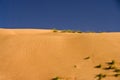 Desert Dune, Wahiba Sands, Oman Royalty Free Stock Photo