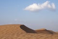Desert dunes Royalty Free Stock Photo