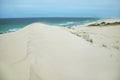 Desert dunes in De hoop nature reserve