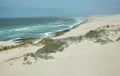 Desert dunes in De hoop nature reserve