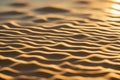 Desert Dunes in Golden Sunset Light Royalty Free Stock Photo