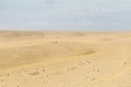 Desert dunes landscape. sand in desert. A sandy, arid desert Royalty Free Stock Photo