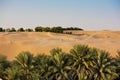 Desert dunes in Liwa oasis, United Arab Emirates Royalty Free Stock Photo