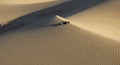 Desert Dunes with Shadows and Ripples Royalty Free Stock Photo