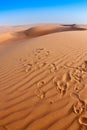 Desert dunes