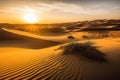 desert dunes, with view of the setting sun, creating a warm and golden glow Royalty Free Stock Photo