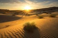 desert dunes, with view of the setting sun, creating a warm and golden glow Royalty Free Stock Photo