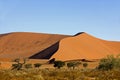 DESERT EN NAMIBIE Royalty Free Stock Photo