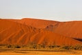 DESERT EN NAMIBIE Royalty Free Stock Photo