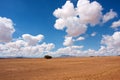 Desert field under majestic skies Royalty Free Stock Photo