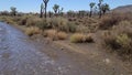 Desert Flash Flood - Little San Bernardino Mtns - 082022