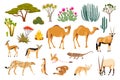 Desert Flora And Fauna Cartoon Set