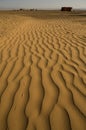 Desert footprints Royalty Free Stock Photo