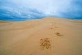 Desert footprints Royalty Free Stock Photo