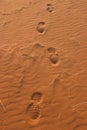 Desert footsteps