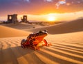 Desert Frog at Sunset Royalty Free Stock Photo