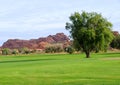 Desert Golf Course Royalty Free Stock Photo