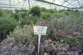 Desert greenhouse experiment at the University of Arizona Environmental Research Laboratory in Tucson, AZ Royalty Free Stock Photo